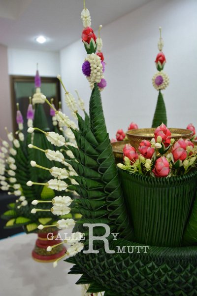 DSC_1012 - Copy.JPG - INNOVATIVE VARIETY